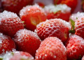 Senasica y FDA investigan brote de hepatitis A en fresas mexicanas