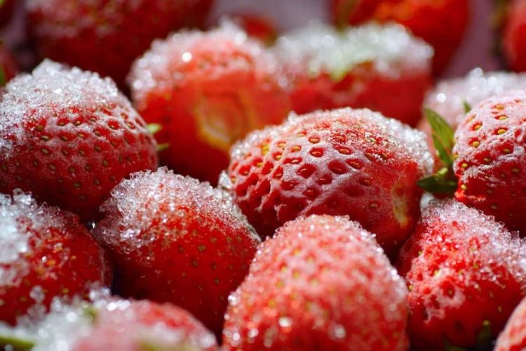 Senasica y FDA investigan brote de hepatitis A en fresas mexicanas