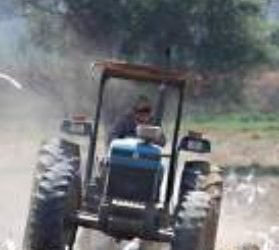 Productores esperan con ansias la llegada de lluvias