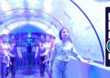 Aprovechan entrada gratuita en el zoológico y acuario