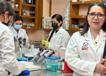 Convocan a Premio Universitario 2023