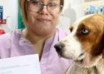 Multan con 10 mil pesos por maltrato animal