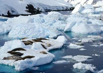 Mínimo histórico: Nivel de hielo en la Antártida alcanza su punto más bajo para un mes de junio