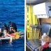 Barco atunero mexicano rescata a naufrago australiano y a su perrita tras 2 meses en alta mar