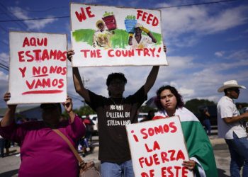 Preocupación por ley migratoria de Florida: Próxima secretaria de Relaciones Exteriores de México denuncia discriminación