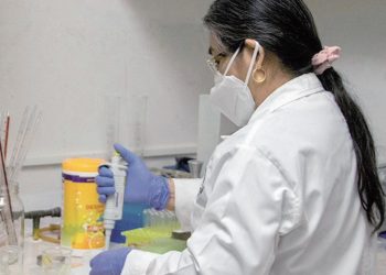 Analiza UAT bacteria que afecta a perros