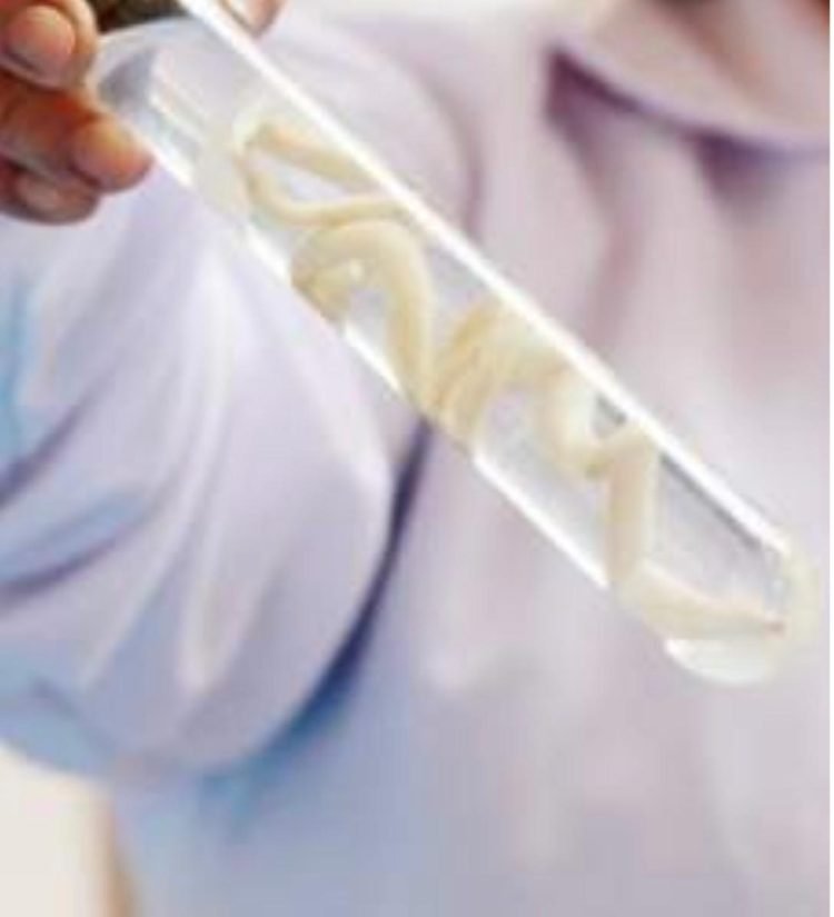 Surge brote de parásitos en niños por ola de calor