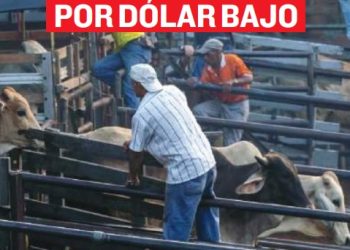 Suben exportaciones pero pierden ganaderos