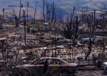Incendios Dejan 106 Víctimas en Hawaii y Biden Visitará la Zona