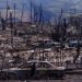 Incendios Dejan 106 Víctimas en Hawaii y Biden Visitará la Zona