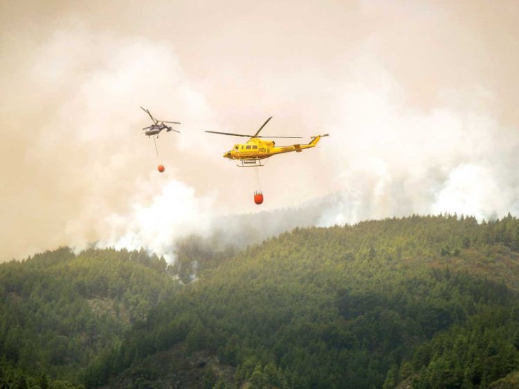 Evacuación Masiva en Tenerife: 12 mil Personas Huyen de Incendio