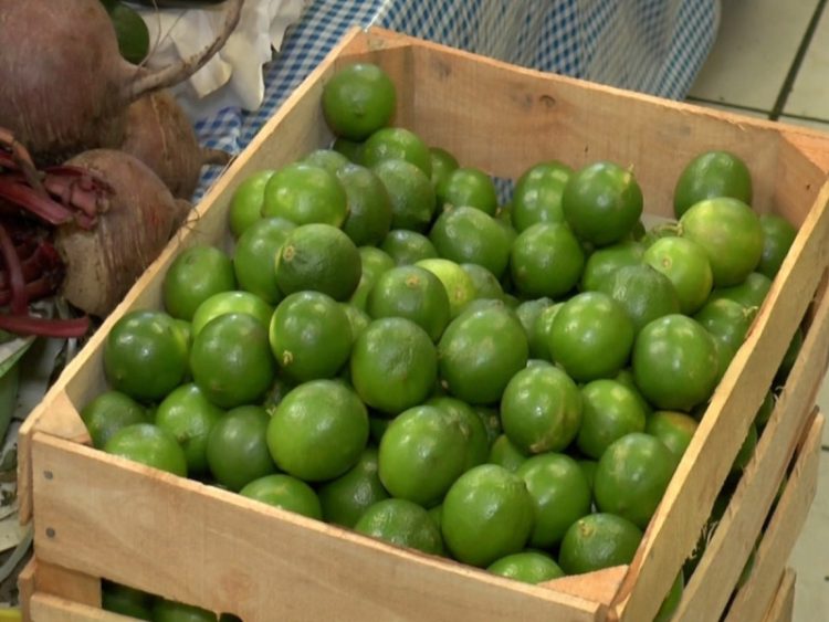 Gobernador de Michoacán descarta que el aumento en el precio del limón sea debido a extorsiones