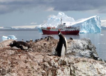 Deshielo temprano en el Polo Sur causa mortandad de crías de pingüino