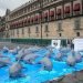 Alerta de Extinción de Vaquita Marina Respaldada por Científicos y Organizaciones Mexicanas