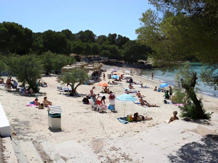 Seis Turistas Detenidos en Mallorca por Presunta Agresión Sexual a una Joven Británica
