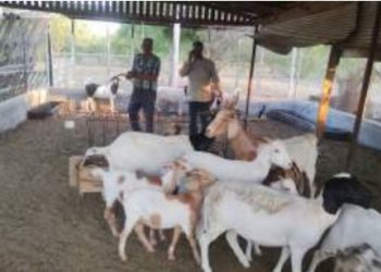 Fortalecen acciones en favor de ejidatarios