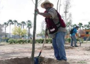 Urge la aplicación del decreto para acelerar la reforestación
