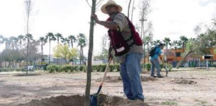 Urge la aplicación del decreto para acelerar la reforestación