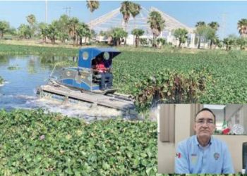 Saneamiento del Laguito es de gran impacto ecológico