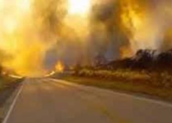EVACUAN A FAMILIAS Avanza incendio destruyendo todo a su paso           