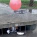 “TODOS FLOTAN” ¡De terror! aparece el payaso Pennywise en Nuevo Laredo