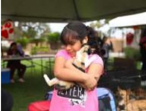 Municipio y grupos rescatistas se únen para realizar la Feria de Adopción