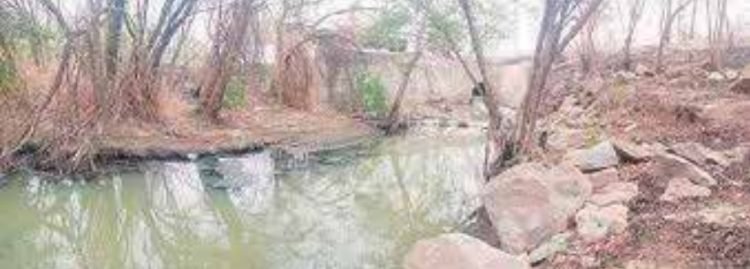 Temen surja dengue en la colonia La Paz