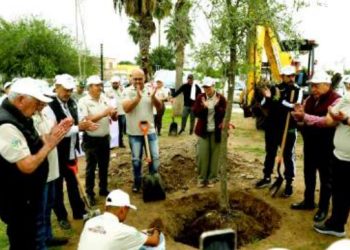 Inicia jornada de reforestación