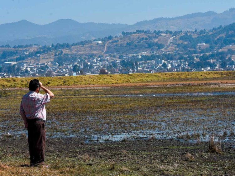 México con Recursos Insuficientes para Enfrentar Grave Sequía, Advierte IMCO