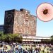 UNAM Fumigará sus Instalaciones Aunque no se Detecte Plaga de Chinches