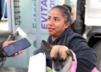 Responden ciudadanos a campaña de esterilización DE MASCOTAS