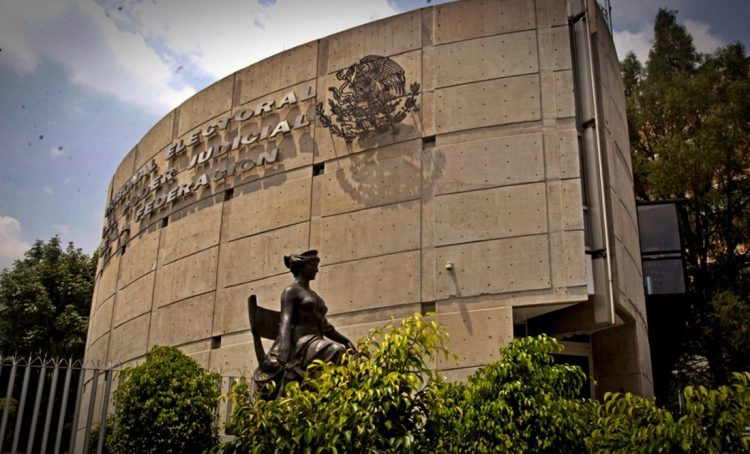 Tribunal Electoral obliga a partidos a postular al menos cinco mujeres a gubernaturas