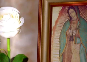Actor de Televisa revela cuánto dinero paga Televisa por capítulo de ‘La Rosa de Guadalupe’