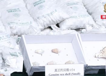 Segalmex se deslinda de metanfetamina empaquetada en conchas con su logo; alista denuncias