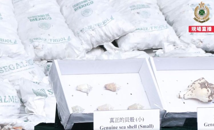 Segalmex se deslinda de metanfetamina empaquetada en conchas con su logo; alista denuncias