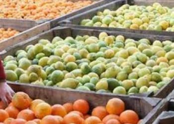 FUERON IMPORTADAS A MÉXICO Alertan contaminación en frutas de EUA