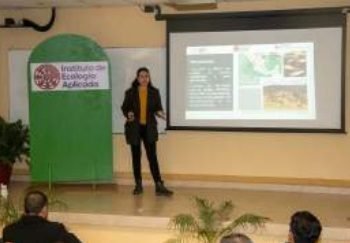 Realiza UAT estudios para proteger ruta migratoria de mariposa monarca