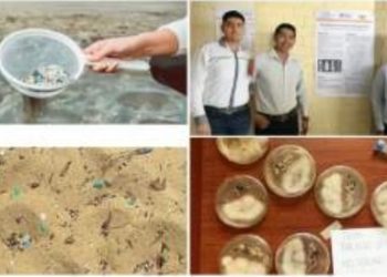 Desarrolla UAT un proyecto para la elaboración de bioplásticos