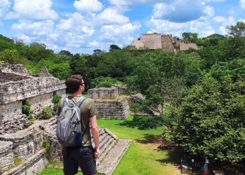 Yucatán intensifica su lucha contra la deforestación en la región