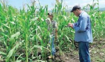 Expone UAT estudios de maíz nativo en congreso de investigación agrícola