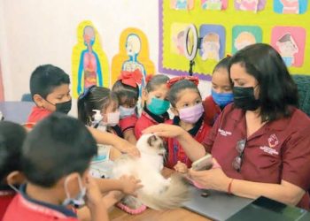 Brinda COMUSA atención veterinaria a las mascotas