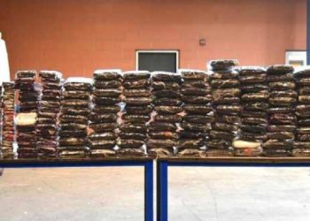 Decomisa CBP droga en Puente 3