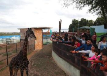 AGRADECEN NEOLAREDENSES Evento de ‘Mágica Navidad en el Zoológico’ fue inolvidable