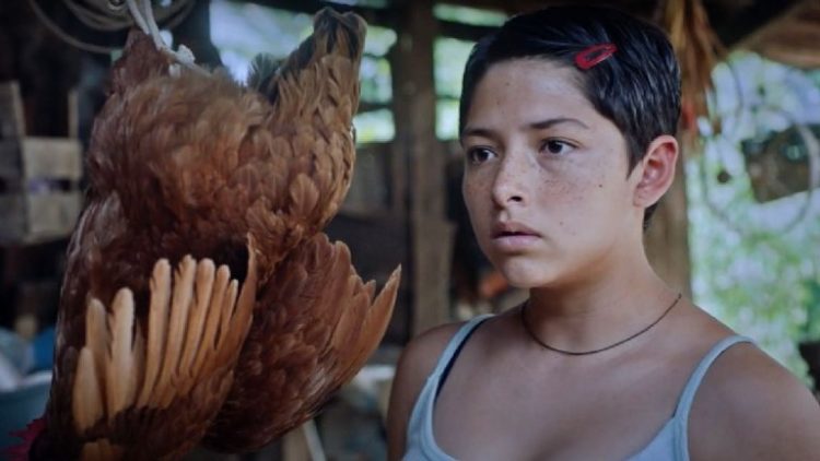 La película mexicana en Netflix que te mostrará un nuevo rostro del crimen, basada en hechos reales