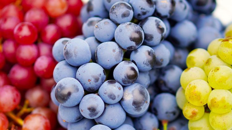 Explorando los Maravillosos Beneficios de las Uvas: Una Fruta Repleta de Salud