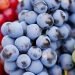 Explorando los Maravillosos Beneficios de las Uvas: Una Fruta Repleta de Salud