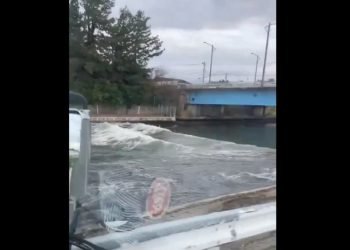 Tsunami golpea la costa japonesa tras potente terremoto