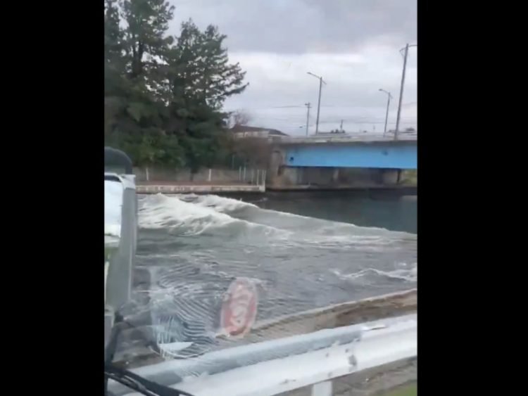 Tsunami golpea la costa japonesa tras potente terremoto