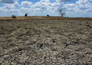 Déficit histórico del 25% en almacenamiento de agua en presas al inicio de 2024