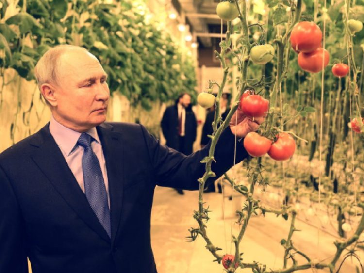 Putin Asegura Fraude en Elecciones de EE. UU. de 2020